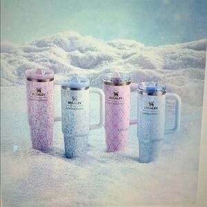 🩷🆕💙 Stanley 1913 x LoveShackFancy Holiday The Quencher ProTour Set